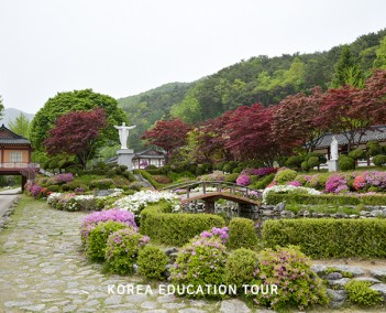 우리의 한방을 찾아서 - 제천