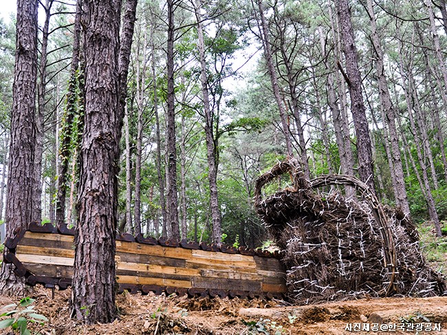 잃어버린 고대 왕국을 찾아서 - 충청 공주 부여