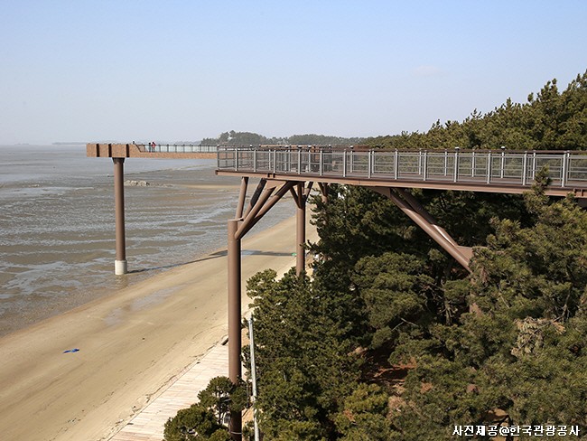 자연을 살리는 환경 - 충청 논산 서천 장항일대