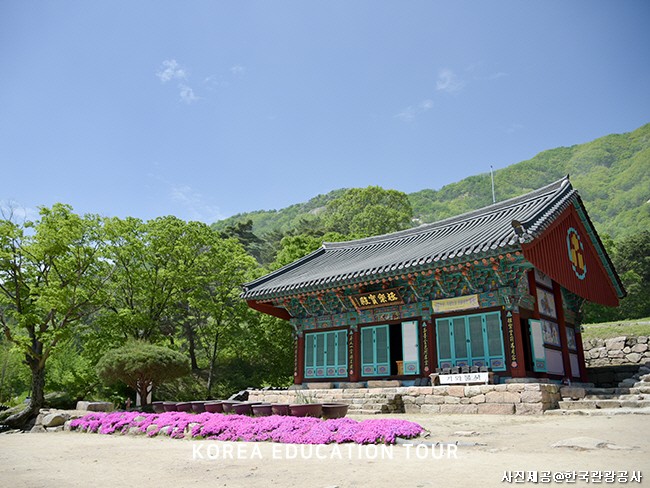 변화의 모습, 대전 근대화 문화거리 - 대전시, 영동시 일대