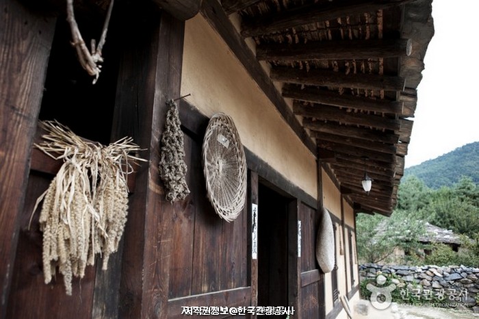 강원3 (체험과 안전)