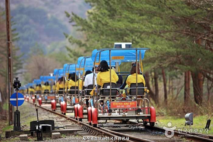 강원3 (체험과 안전)