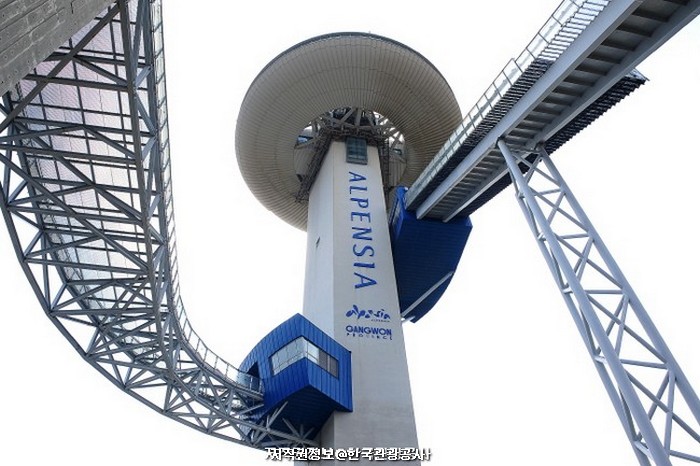 강원6 (스릴즐기기)