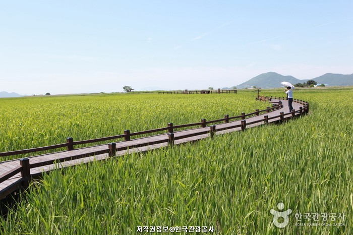 전라4 (자연과 도시)