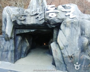 충청6 (충청내륙의 자연탐방)