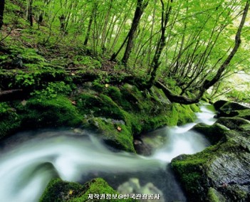 강원 7 (한반도 이야기)