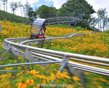 강원 9 (강원도의 익사이팅)