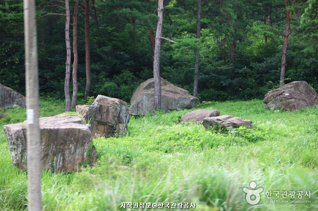 전라 10 (자연의 발전과 문화 )