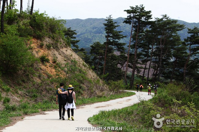 전라 12 (힐링과 체험)