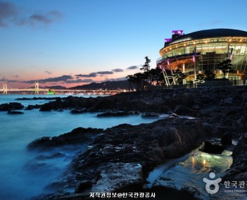 경상 7(부산여행)