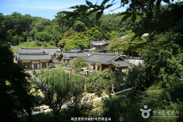 경상 11 (영남문화 체험)