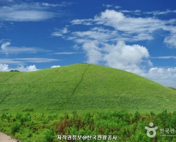 제주 2 (제주찾기 여행)