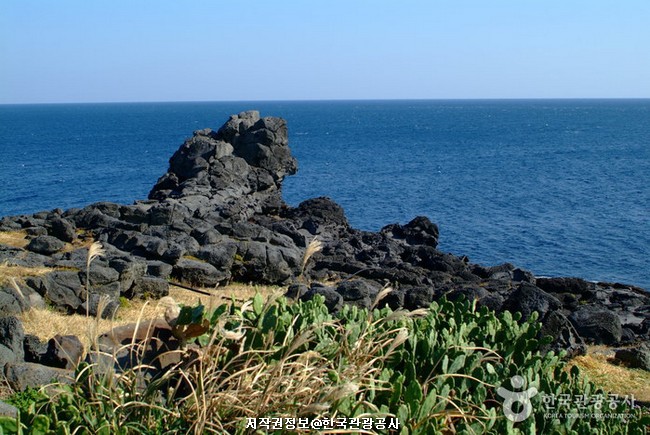 제주 4 (탐방 이야기)