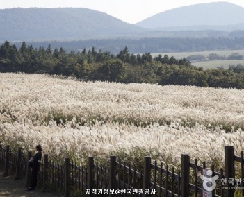 제주 5 (한라산과 제주)