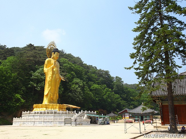 1500년 세월속에 숨은 절- 보은