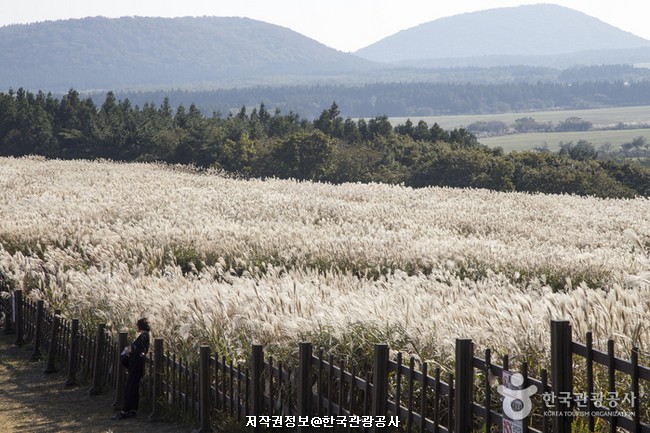 제주 5 (한라산과 제주)